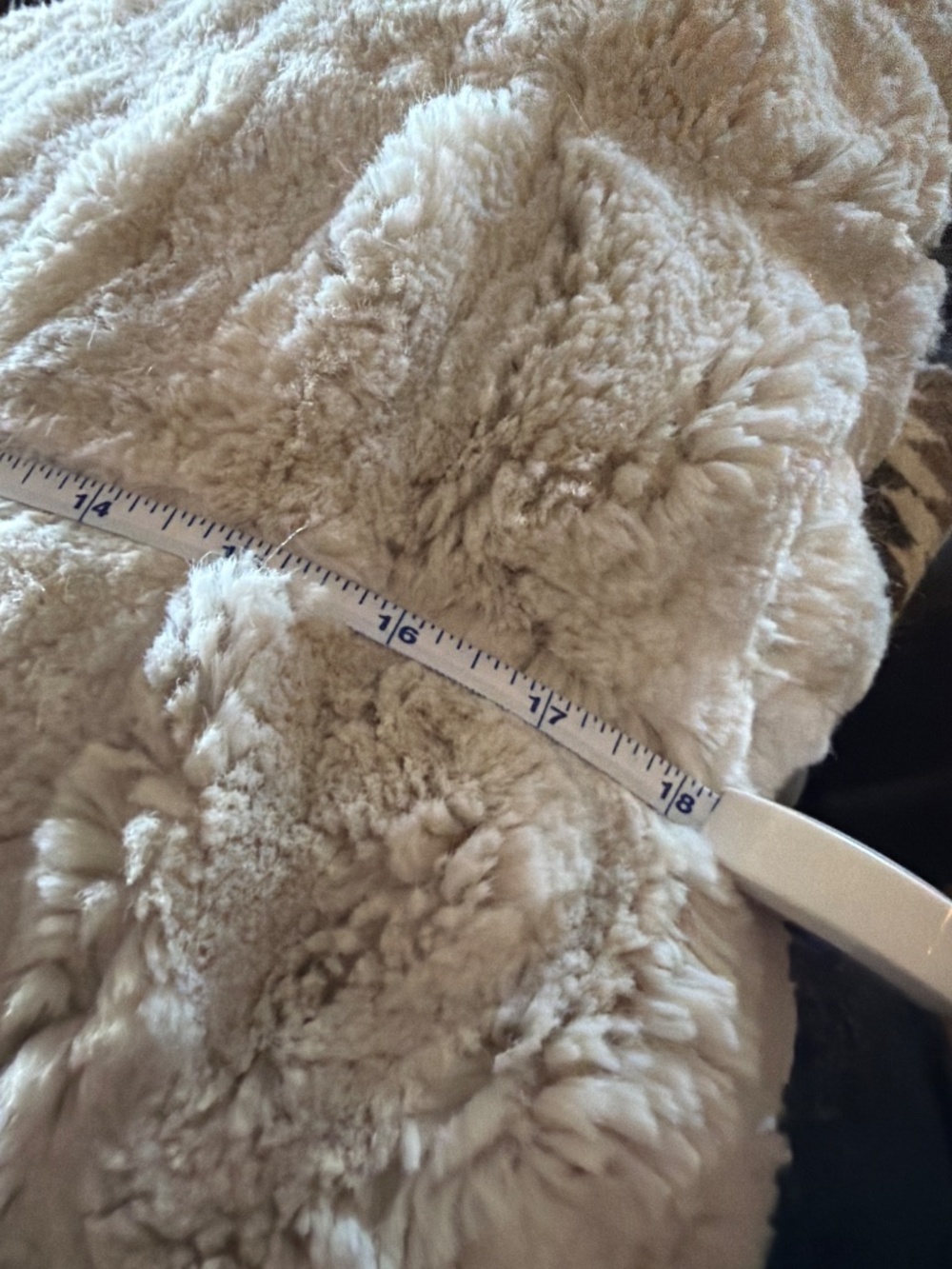 Pottery Barn Pillows - Picture 7 of 12